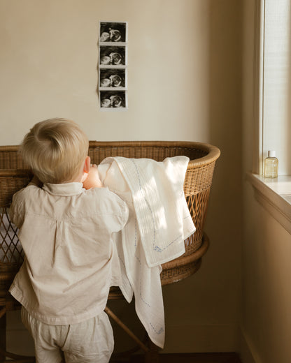 embroidered swaddle - rocking horse