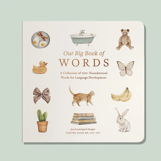 our big book of words