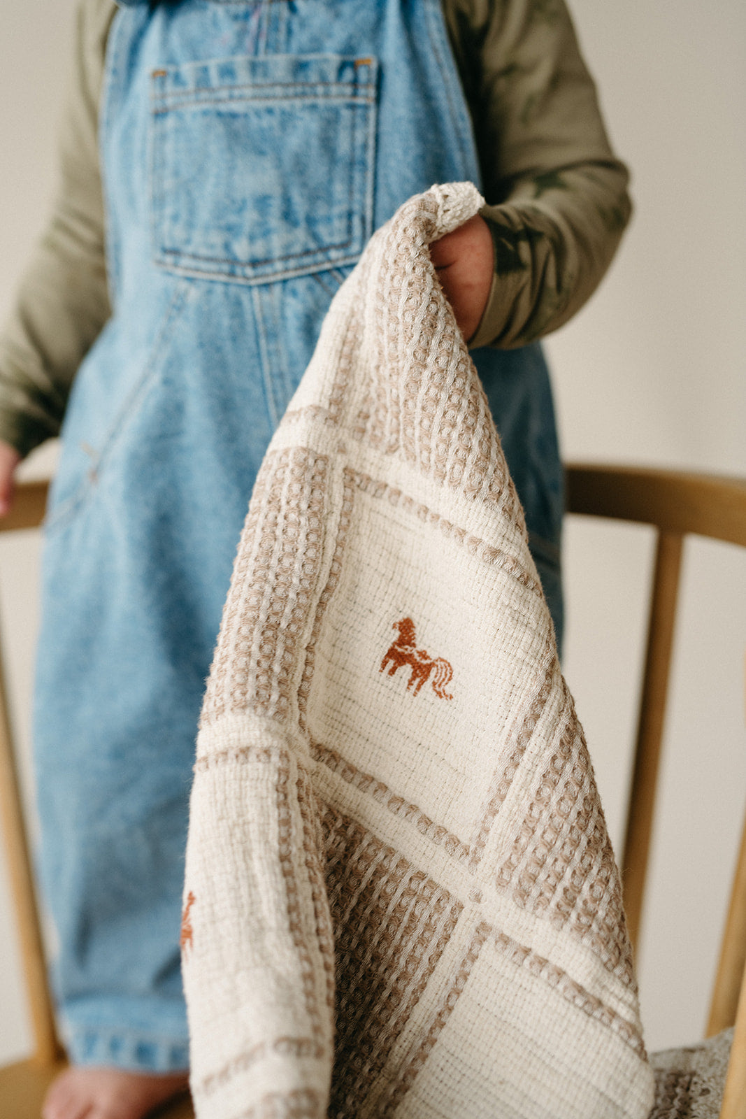 pony blanket