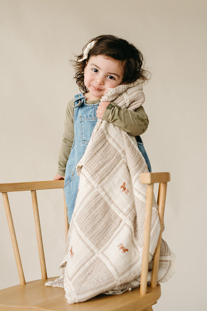 pony blanket